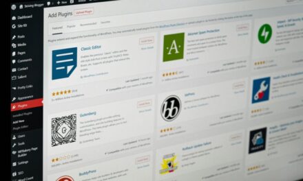 Theo Forgit, agence de création de sites WordPress à la Rochelle