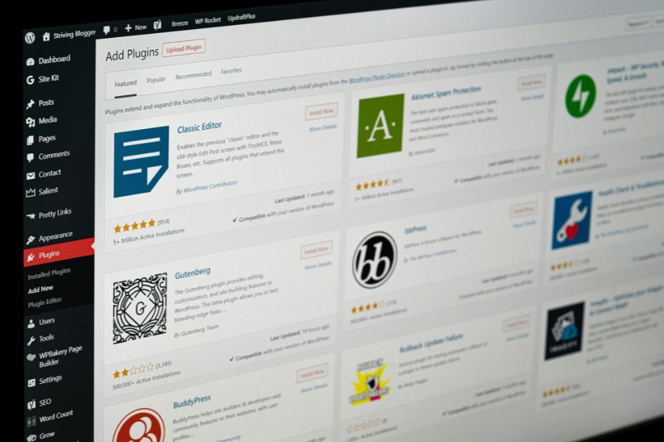 Theo Forgit, agence de création de sites WordPress à la Rochelle