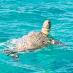 Visiter la réserve de biosphère de Sian Ka&rsquo;an avec un guide